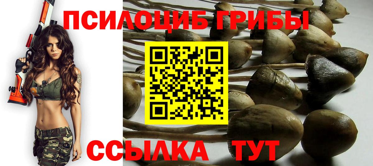Галлюциногенные грибы ЛСД  Вход с VPN  Камышлов 