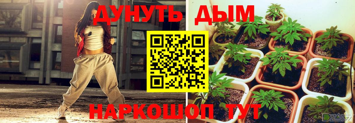 Бошки марихуана THC 21%  Вход с VPN  Марихуана LSD WEED  Марихуана SATIVA & INDICA  Камышлов  Каннабис гибрид 